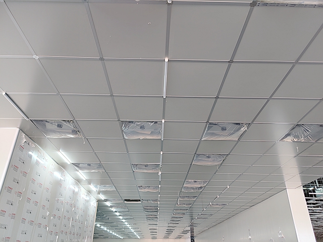 洁净车间吊顶需要上人时，应该如何选择净化板？